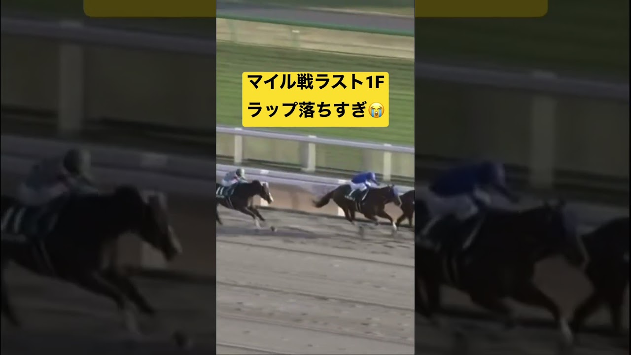 フェブラリーSだけどレモンポップなんてくるワケねーだろwww #競馬 #競馬予想 #フェブラリーs #フェブラリーステークス