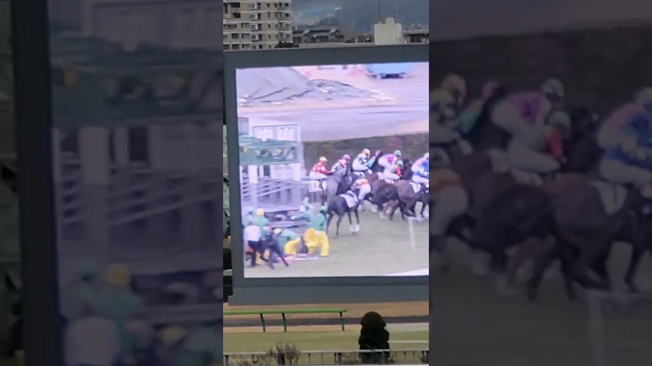 小林 脩斗騎手…落馬する