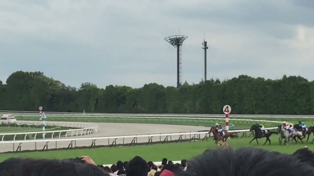 京都競馬場　天皇賞秋