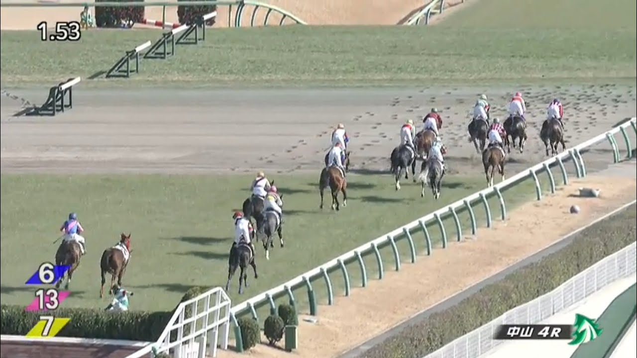 2023/01/08　中山競馬場　4R　スマートキャノン　4頭競走中止　落馬