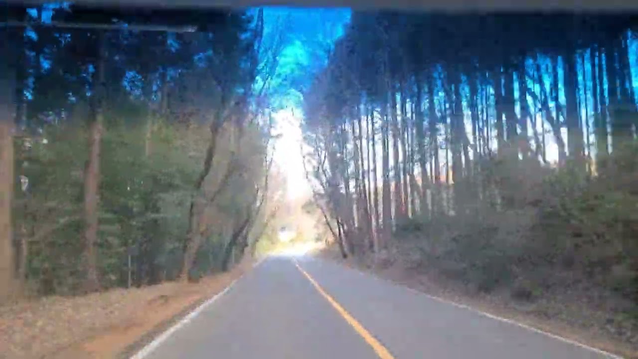 ジャパンカップのロードバイクのコースを少しだけ車で走ってきました！