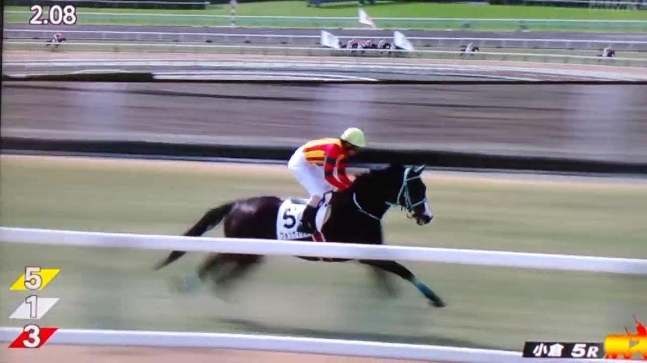 小倉5レース障害オープン フォッサマグナ