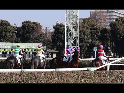 １回中山３日４R障害４歳以上未勝利　スタート前の障害確認 2023.1.8