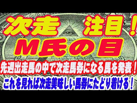 【　新企画！M氏の目！　】先週のレースから次走馬券に繋がる馬をM氏が発表！これを見れば美味しい馬券に出会えるかも！？