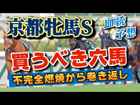 【京都牝馬ステークス2023】単勝20倍超えの超美味しい穴馬！前走着順だけで判断したら損します！