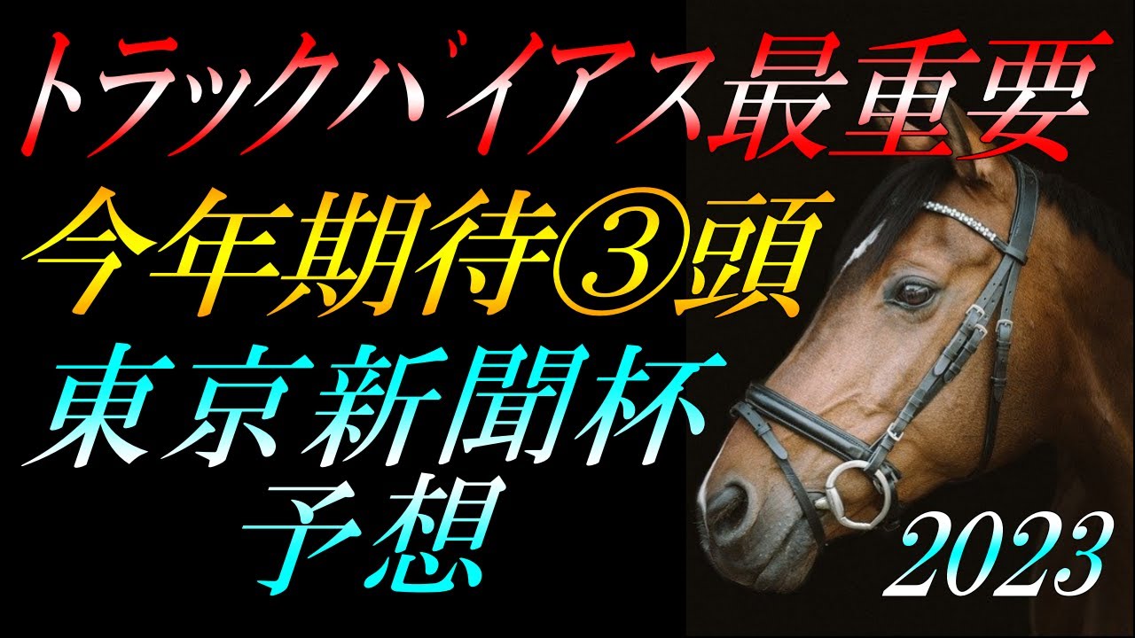 【重賞予想】 東京新聞杯2023 予想：今年期待の③頭を解説！今回好評価するかは解りません？『馬券は当日のトラックバイアスと枠順と展開次第で考える』