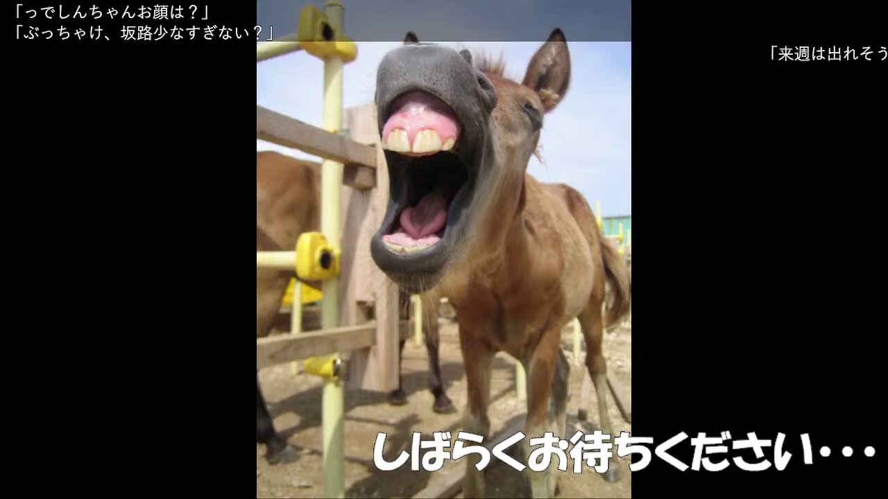 【ダービー馬主】元無職の地方競馬【そして伝説へ】