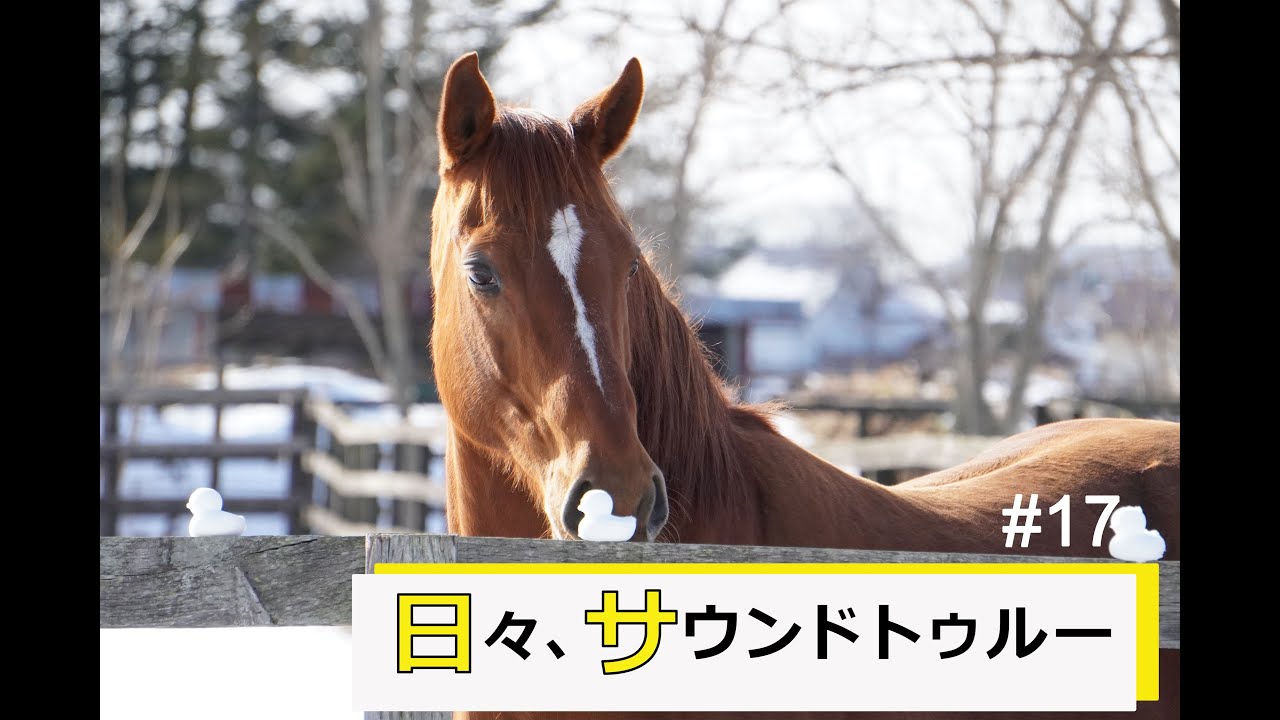 日々、サウンドトゥルー#17