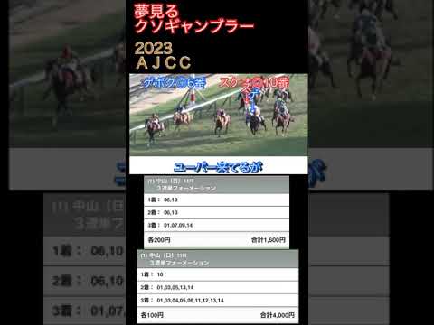 2023 AJCC【競馬】大好きなユーバーレーベン@夢見るギャンブラーたち