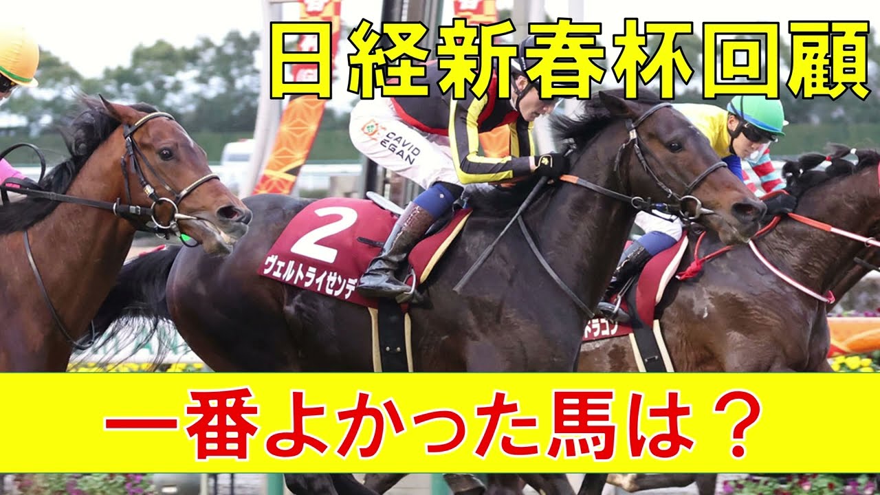 日経新春杯 回顧  2023　ヴェルトライゼンデの評価　一番強い競馬をしたのは？