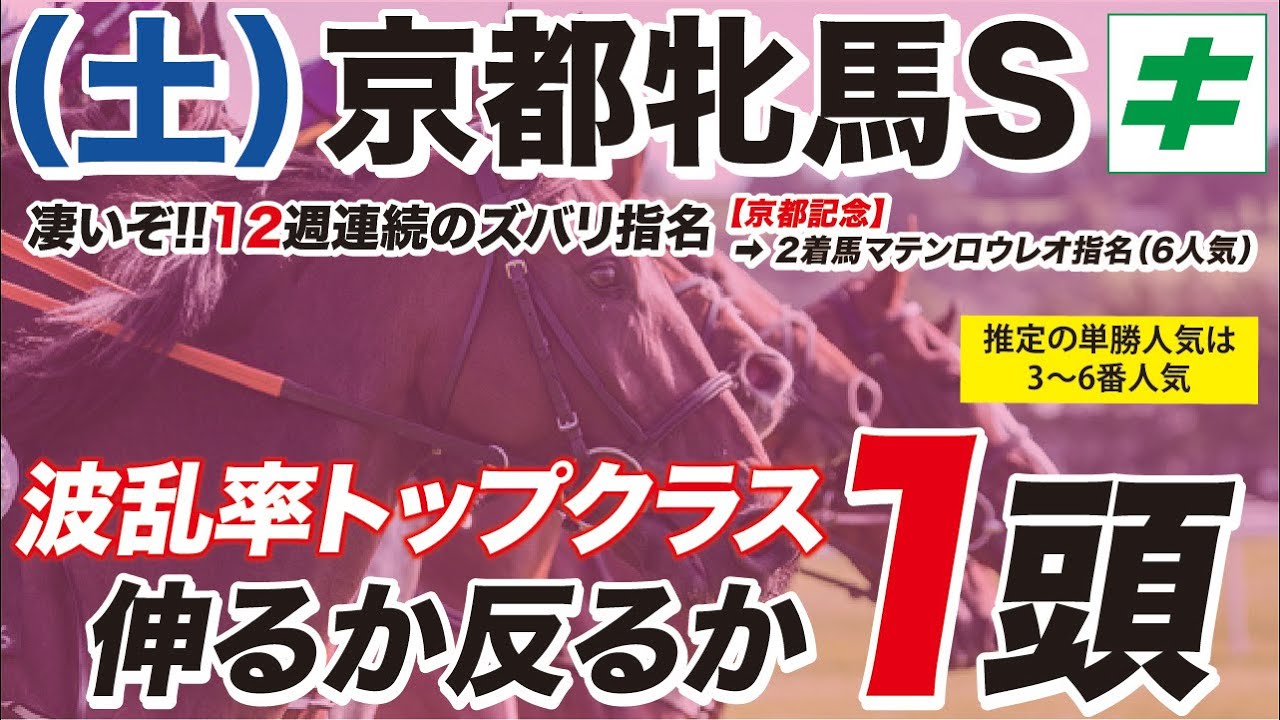 京都牝馬ステークス 2023 【予想/穴馬】豪華メンバー＆大混戦！迷わず指名した信頼度抜群の軸馬とは！