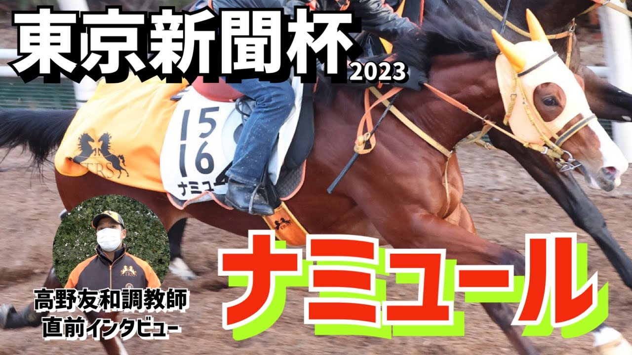 【東京新聞杯2023】出走予定のナミュールについて栗東・高野友和調教師に直前インタビュー「鞍上がアクションしなくてもスーッと加速する出来の良さ」《東スポ競馬ニュース》
