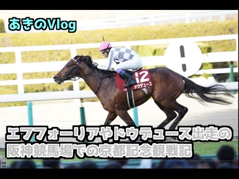 あきのVlog　阪神競馬場での京都記念観戦記