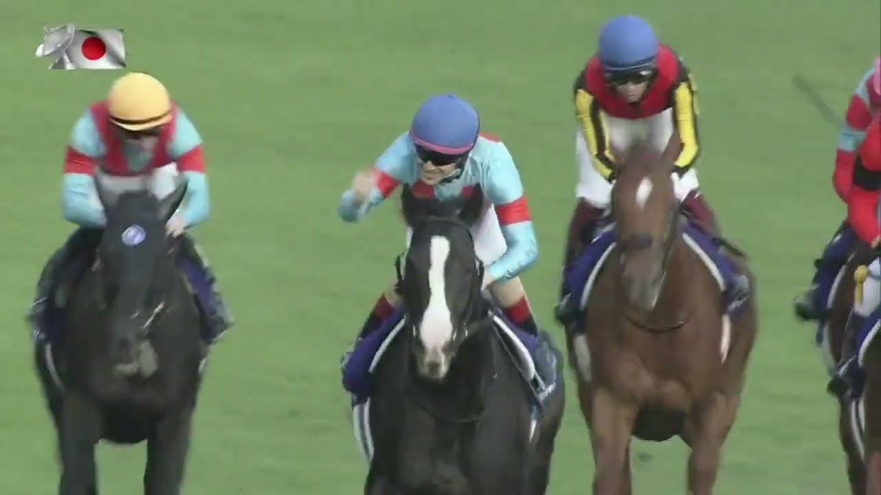 2022 Tenno Sho Autumn G1 - Equinox (春秋分) - C.Lemaire