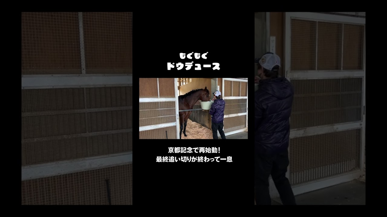 【もぐもぐドウデュース】最終追い切りが終わって一息