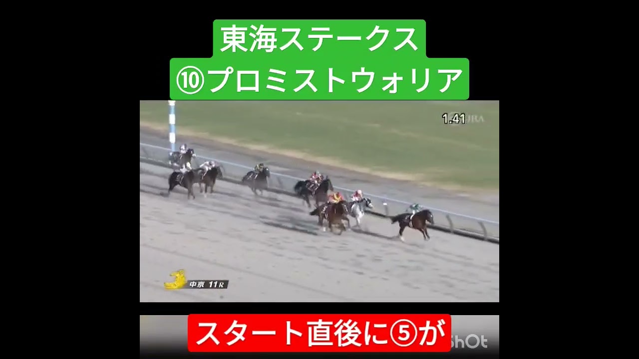 東海ステークス 2023 プロミストウォリア Promised Warrior #競馬 #中京競馬場 #ダート