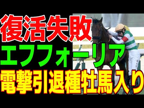 心房細動で競走中止…エフフォーリア…最悪のレースになった京都記念回願と共同通信杯のレベルに嘆き続ける動画…電撃引退種牡馬入り…【京都記念回願】【共同通信杯回顧】【ゆっくり解説】【私の競馬論】