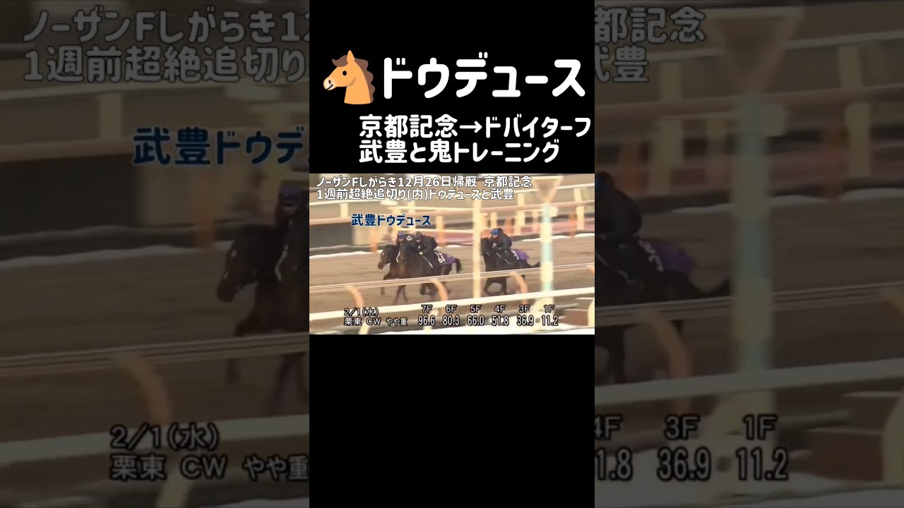 超絶追切りドウデュースとハーバー併せ馬 武豊と京都記念から世界へ