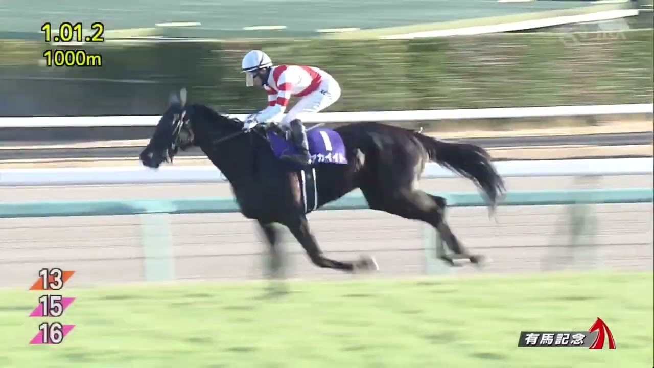 📹 2022年 有馬記念（GⅠ） | イクイノックス | JRA公式 →👤 JRA公式チャンネル