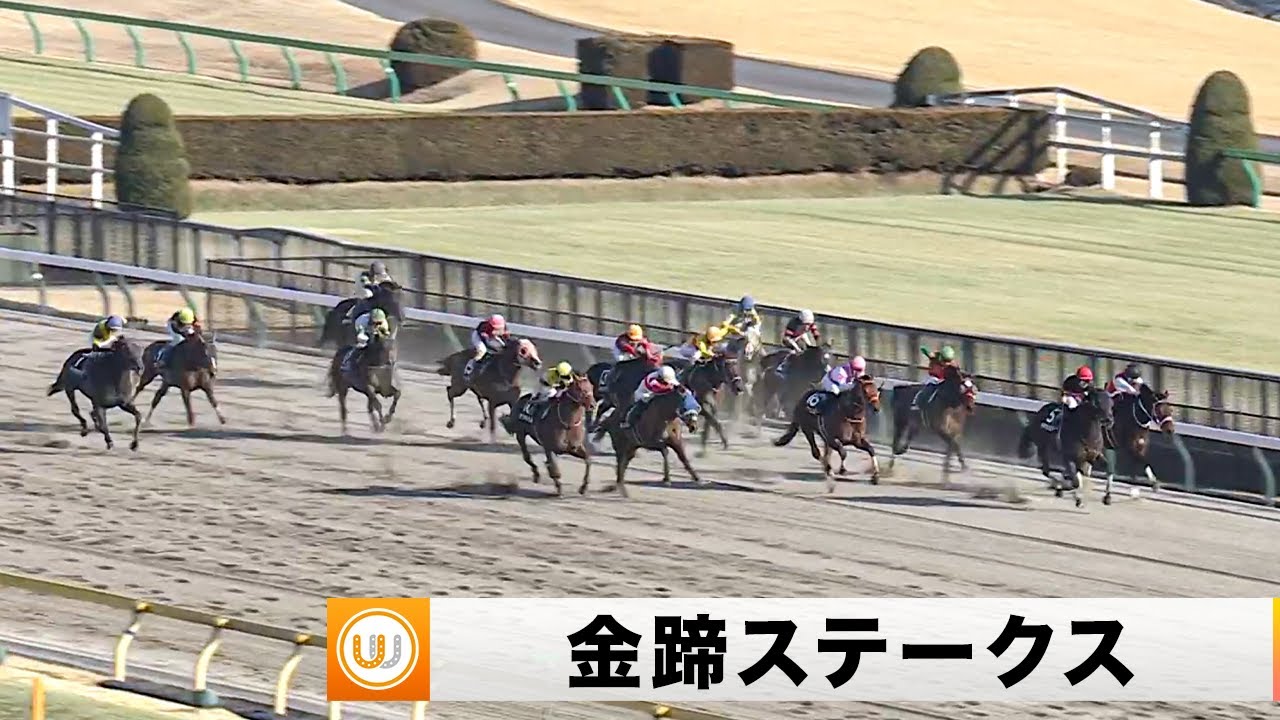 【2023】金蹄ステークス 東京競馬場10R ｜ウイニング競馬 2023年2月18日（土）