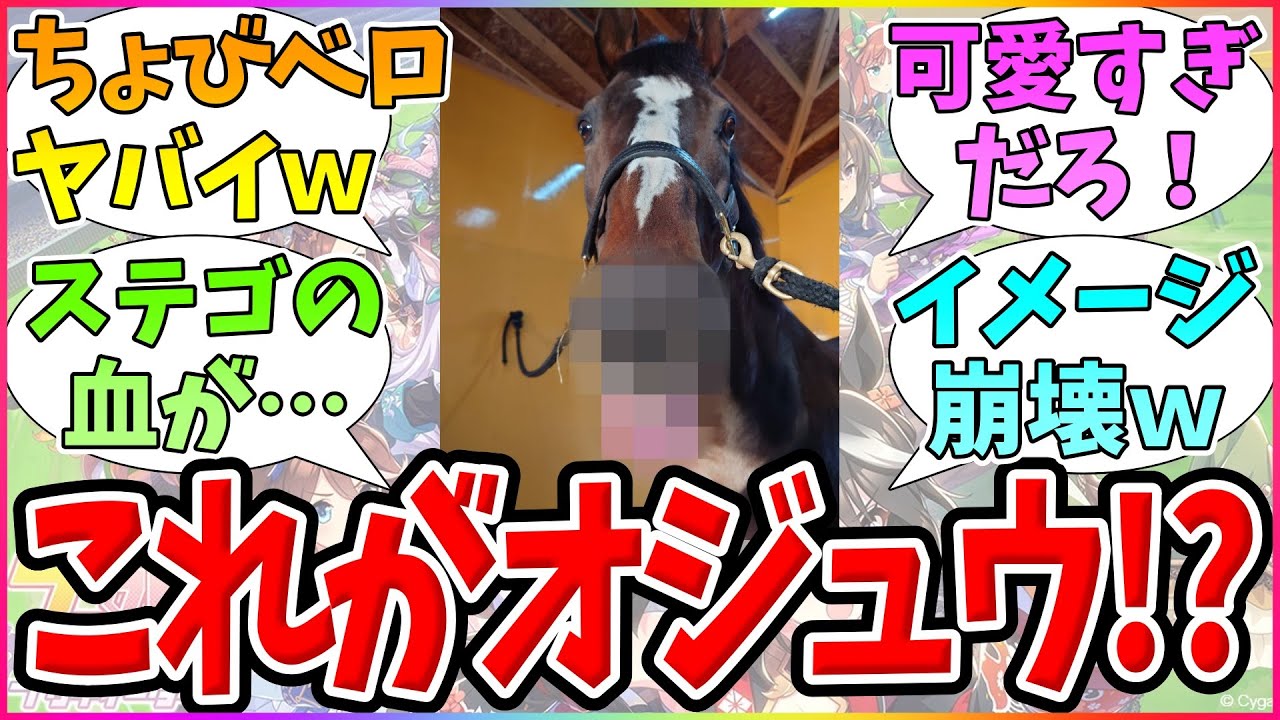 『まさかの"チョビベロ"を披露するオジュウチョウサン』に対応するみんなの反応