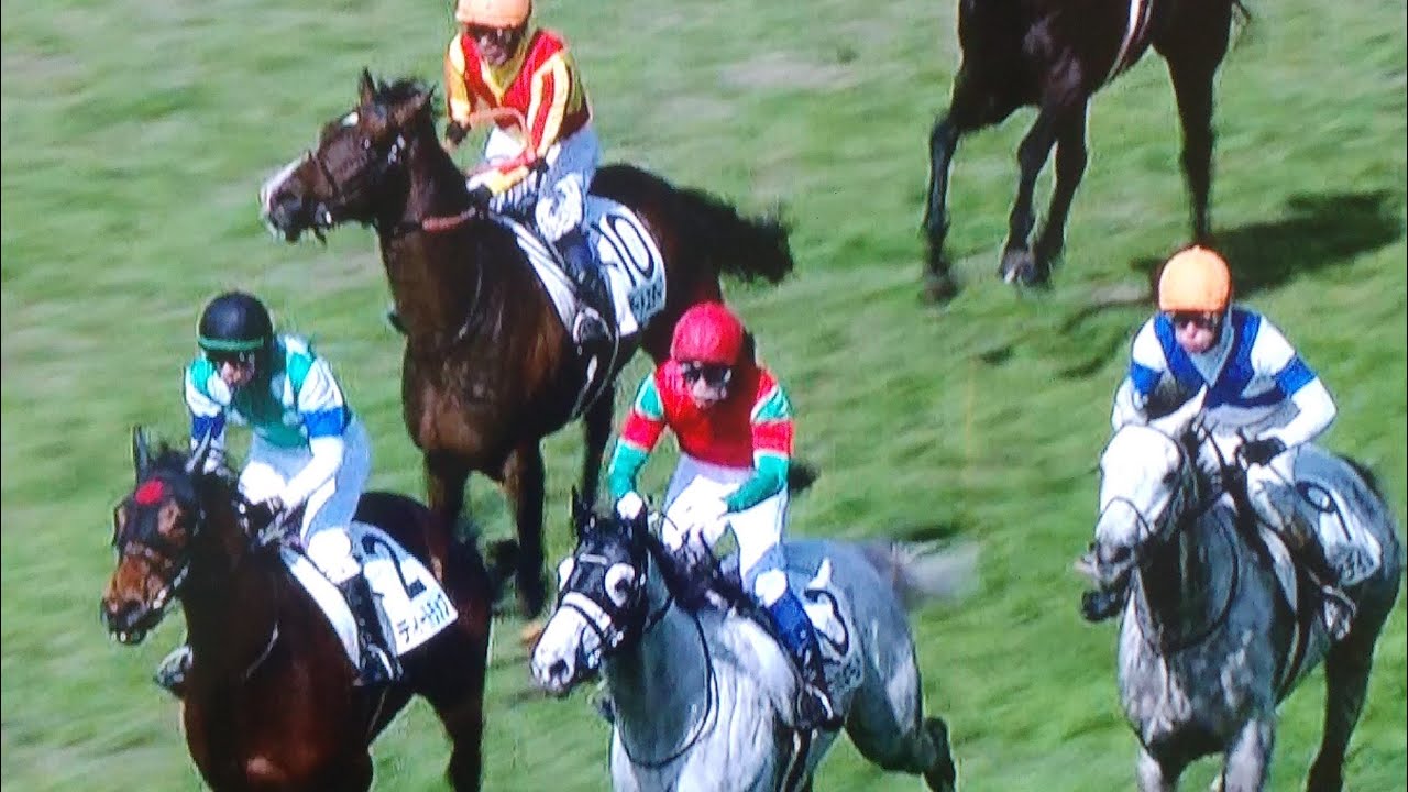小倉4レース障害未勝利 サンデイビス