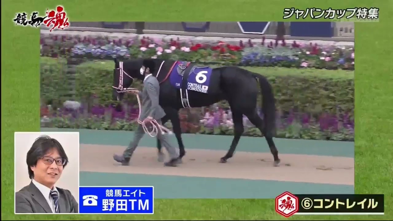 競馬魂 #15 「世紀の大レース！ジャパンカップで大予想！！」