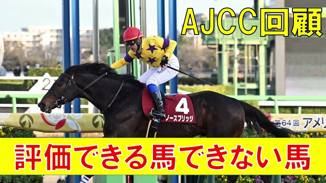 AJCC 回顧  2023　評価できる馬と評価できない馬　ノースブリッジ