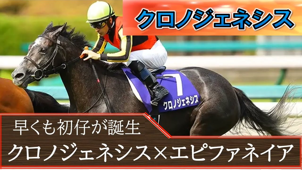 【名馬に初仔】クロノジェネシス×エピファネイアの牡馬誕生。早熟説×晩成名牝に期待大。今の時期なら、次はエフフォーリアか？