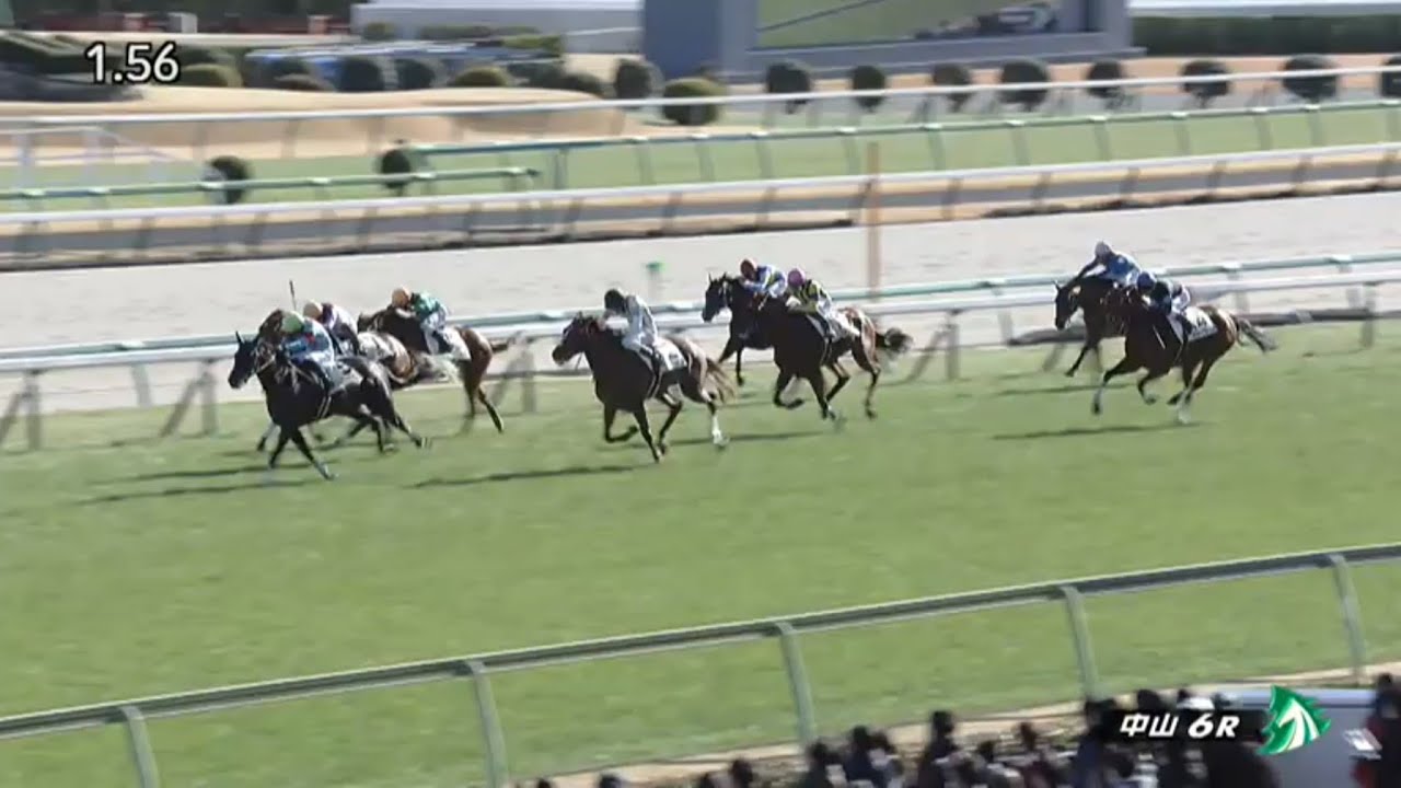 2023/01/05　中山競馬場　6R　アヴニールドブリエ　バシュロ騎手　ビターグラッセ