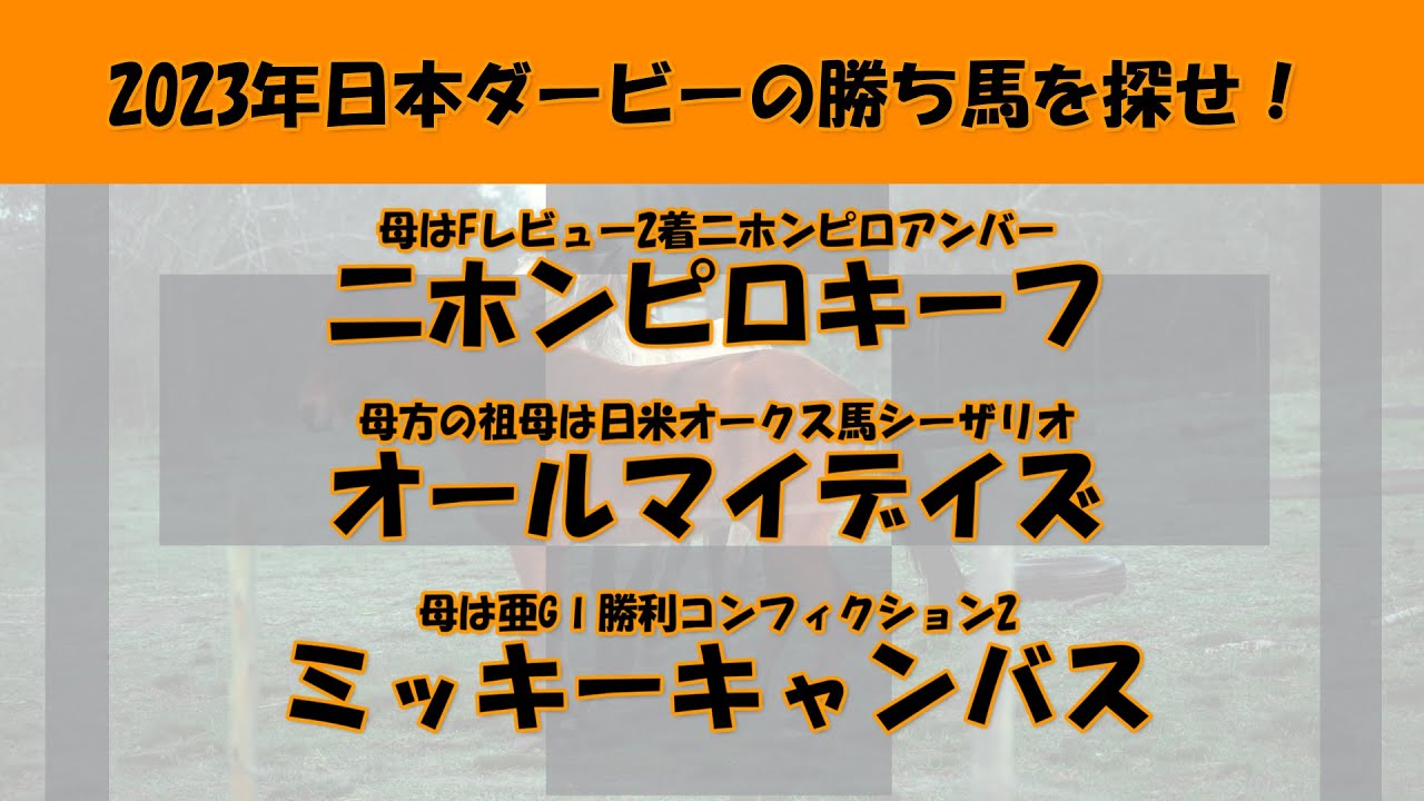2023年日本ダービー馬を探せ！#45　二ホンピロキーフ、オールマイデイズ、ミッキーキャンバスを注目馬として取り上げました。