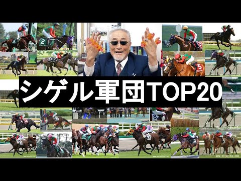 【競馬】シゲル軍団TOP20