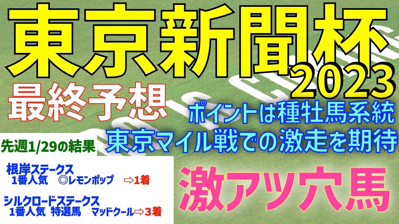 【東京新聞杯2023】東京マイル戦での激走を期待するあの馬が　激アツ穴馬　【最終予想】【競馬予想】