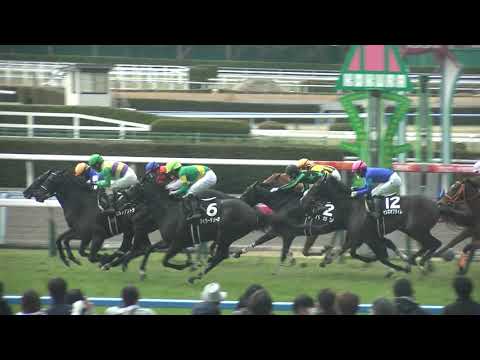 唐戸特別 現地 レース カイザー サンヒルノアントラ オウケンボルト タイラーテソーロ ラウルピドゥ 2023/2/11 小倉競馬場 9R