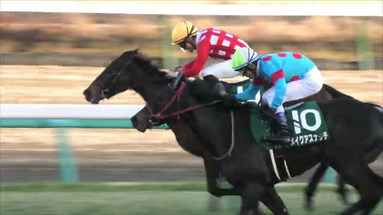 2023 01 09 中山競馬場第11レース　フェアリーステークス