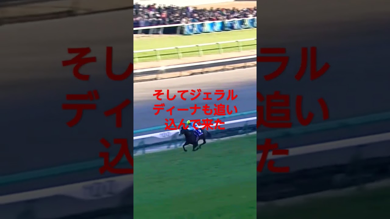 2022年　有馬記念　イクイノックス　やっぱり強かった！#イクイノックス　#有馬記念　#クリスマス　#ルメール　#キタサンブラック