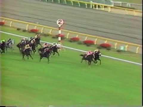 第94回　天皇賞（秋）（ＧⅠ）　サクラユタカオー　1986.10.26　　出走馬：ミホシンザン、ライフタテヤマ、クシロキング、サクラサニーオー、ウインザーノット、ギャロップダイナ、ダイヤモンドラーン他