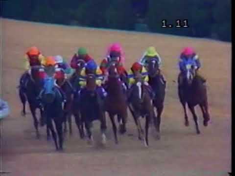 第３９回　農林水産省賞典　阪神３歳ステークス （ＧⅠ）　サッカーボーイ　1987.12.20　　出走馬：メジロワース、ミスターシクレノン、ポットナポレオン、ダイタクロンシャン　他　　実況：杉本清