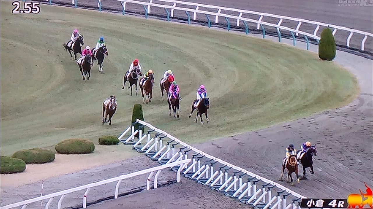 小倉4レース障害未勝利 シングンジョーイ