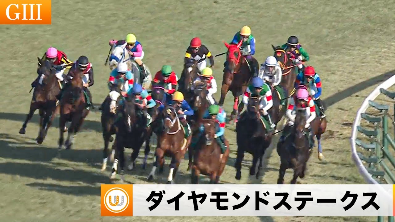 【2023】第73回ダイヤモンドステークス（GIII）東京競馬場11R ｜ウイニング競馬 2023年2月18日（土）