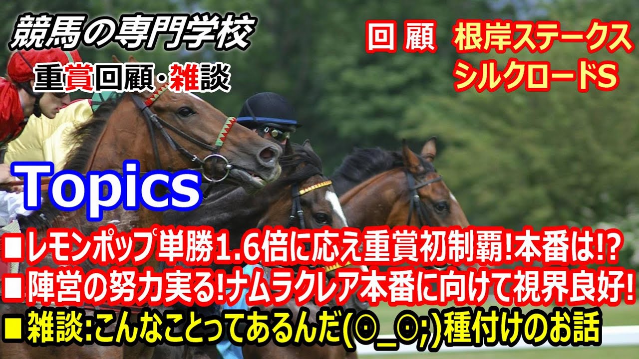 【根岸S2023 シルクロードS2023】回顧･雑談 本番に向けて視界良好