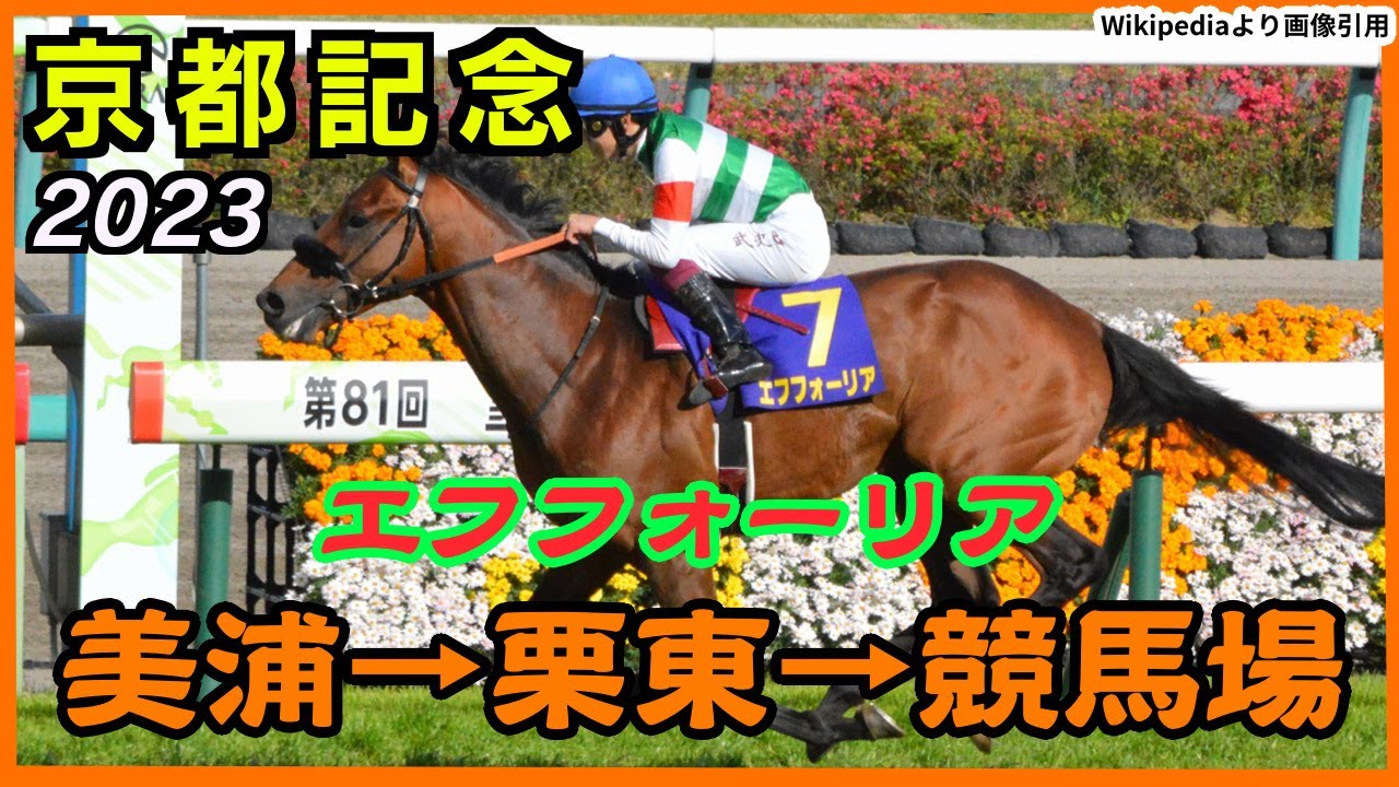【情報】 エフフォーリア、京都記念への輸送プラン