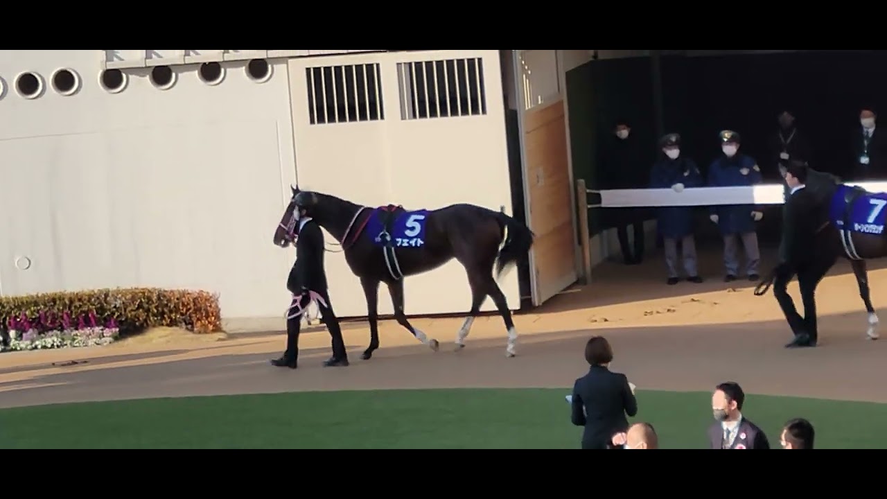 2022/12/28 中山 ホープフルステークス(GⅠ) フェイト