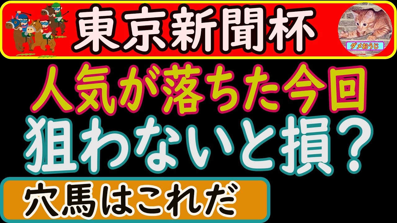 東京新聞杯2023年の穴馬予想！人馬共に能力は高いので今回狙い目です