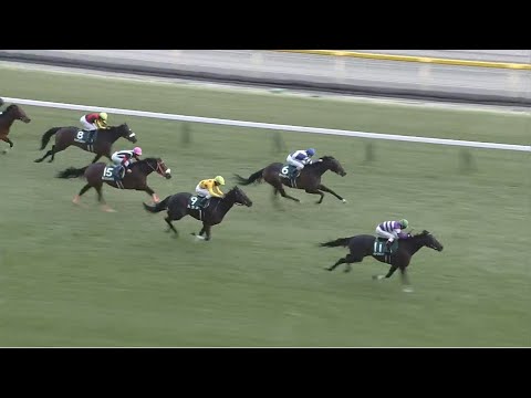 競馬予想　きさらぎ賞2023　東京新聞杯2023　だらだら予想