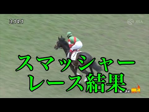 2/4 小倉5R 障害4歳以上未勝利 レース結果【スマッシャー】