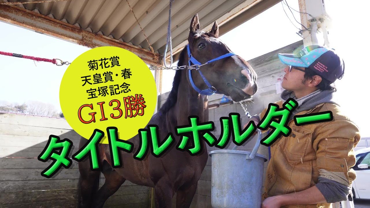 タイトルホルダー Titleholder ～ GⅠ3勝の現役馬