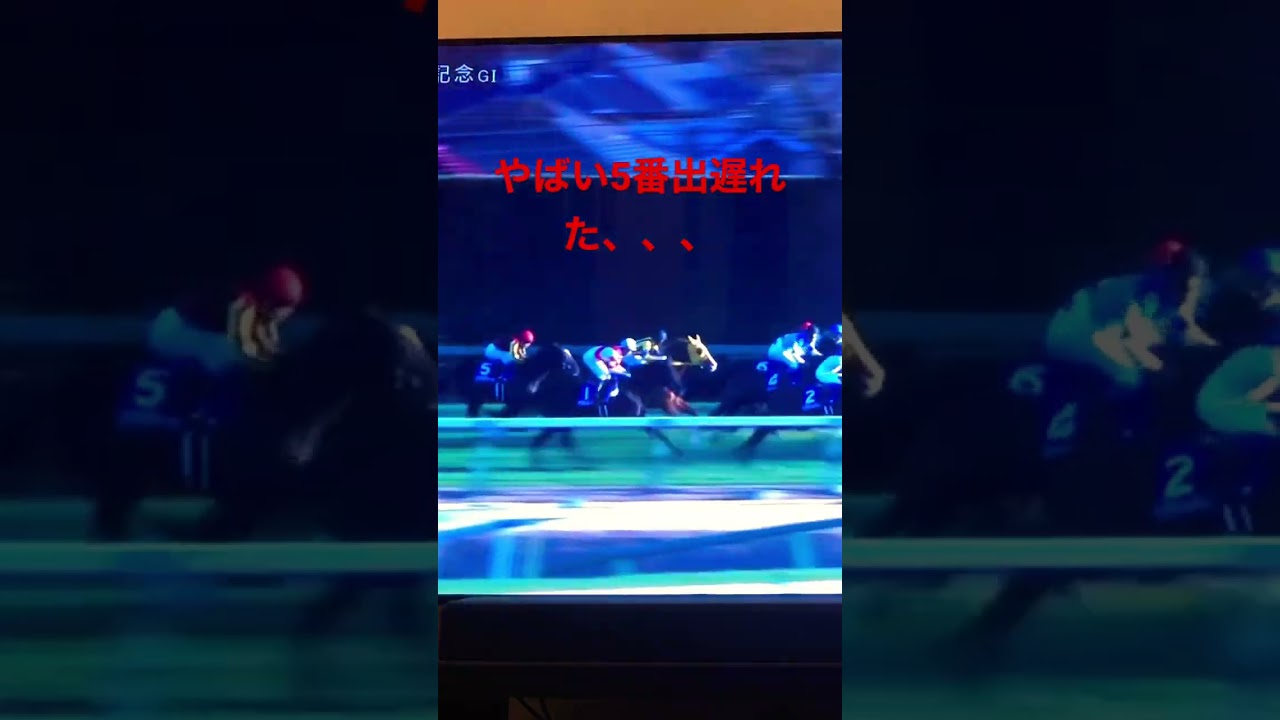 年末の宝くじ有馬記念やってみた😄