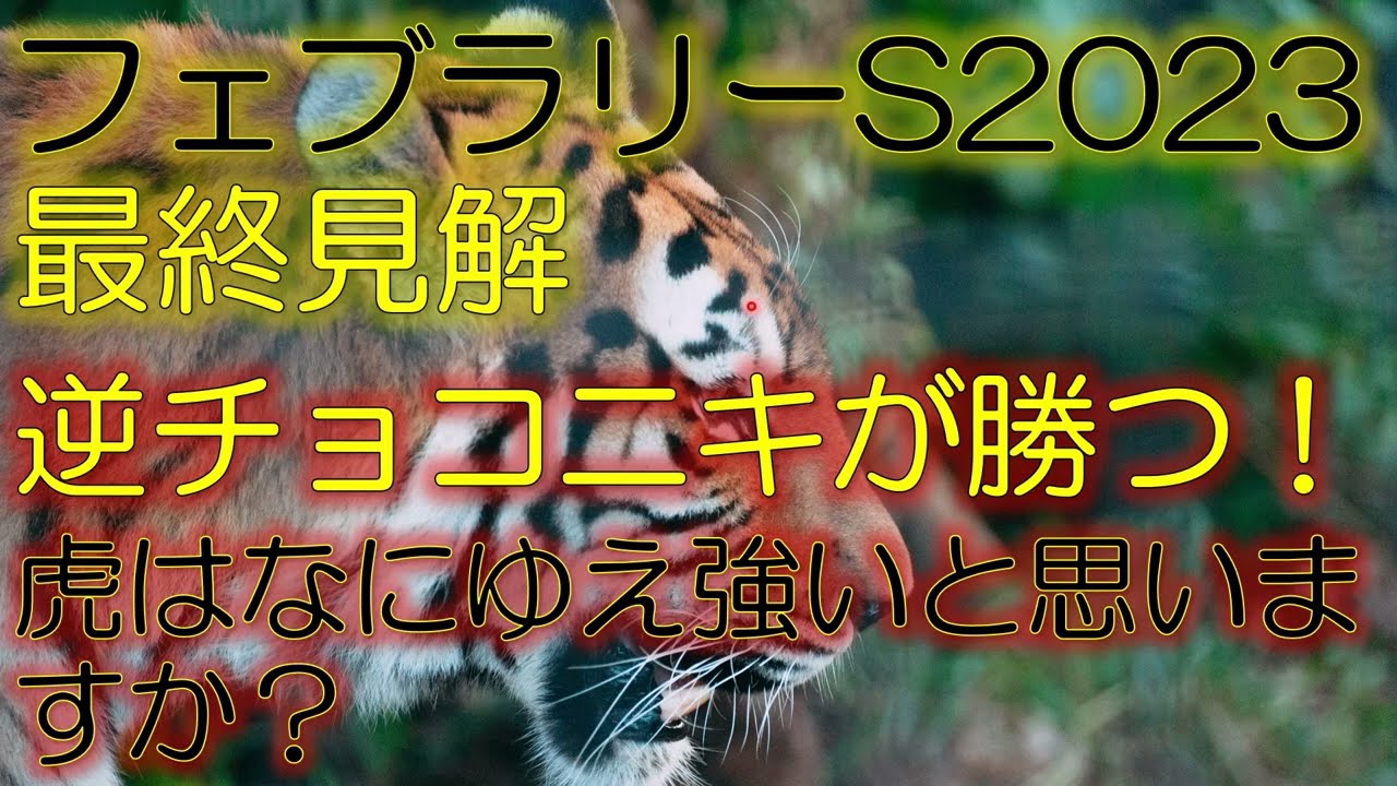 フェブラリーステークス2023　最終見解