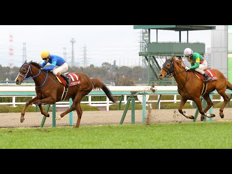 ２月３週　2/9　【枠連投資馬券塾】#レース展望　#京都記念　エフフォーリア、ドゥデュースより買いたい馬は！？